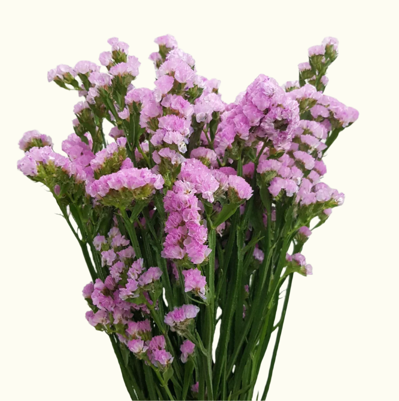 Statics Flower